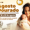 site e intranet - agosto dourado
